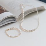 Embellished Series Delicate Gradient Necklace